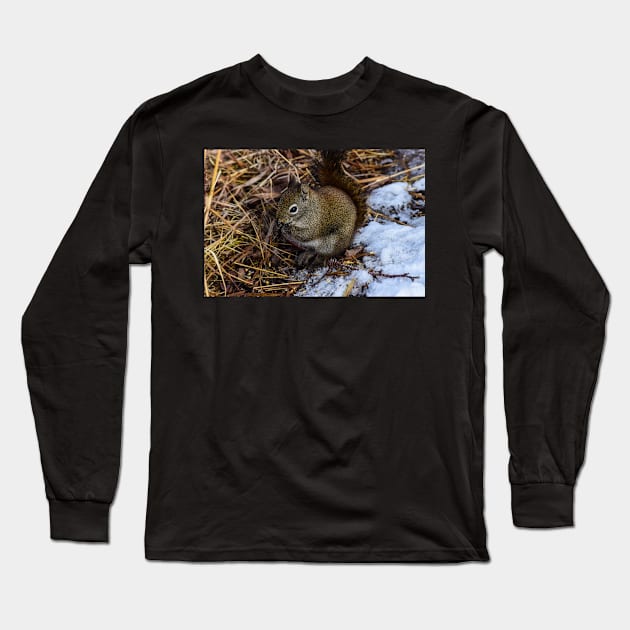 Red Squirrel. Long Sleeve T-Shirt by CanadianWild418